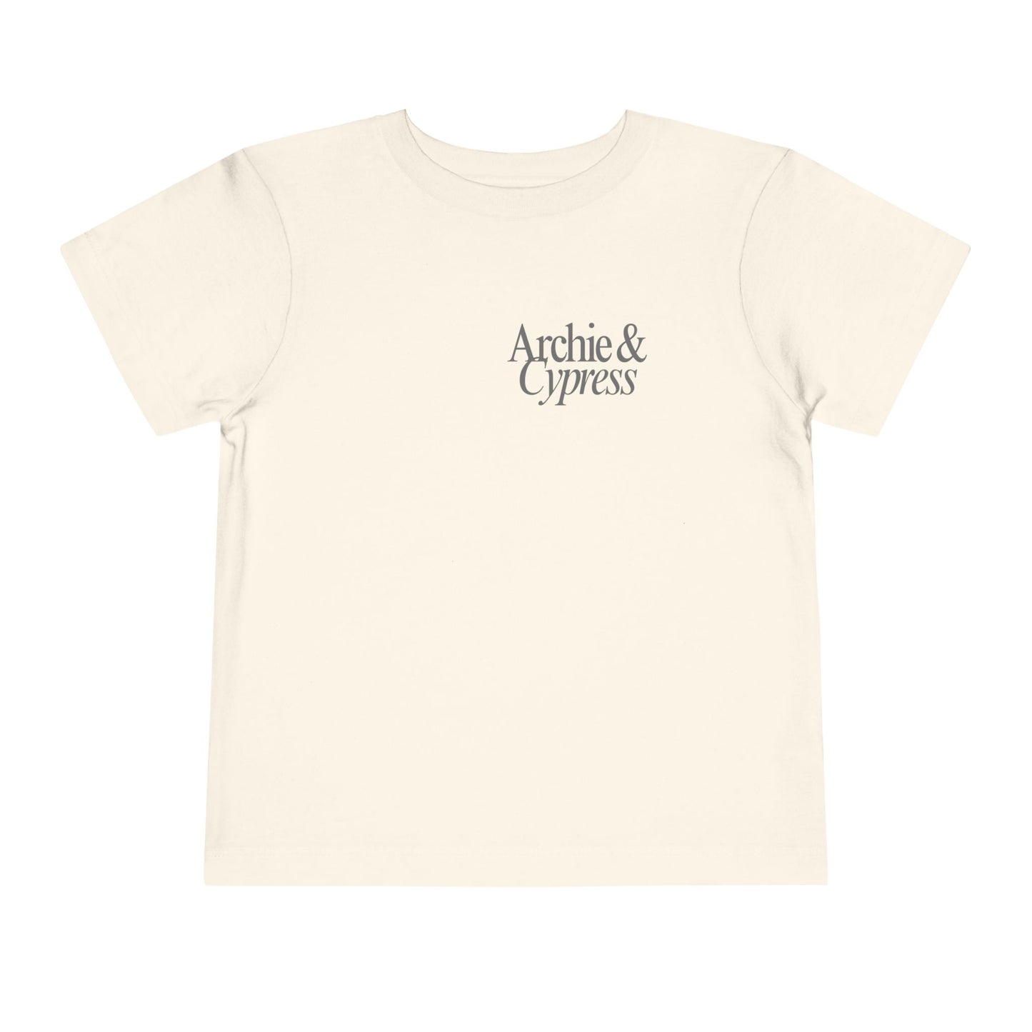 Toddler Tee - Boy and Lab with Decoys Design